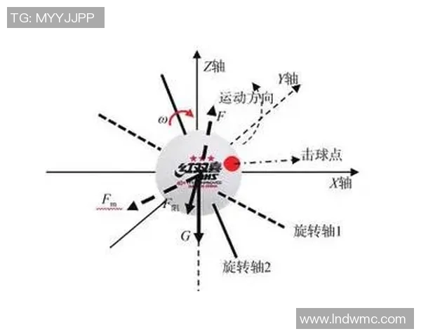 杭州乒乓球队反击战术解析与实战应用探讨