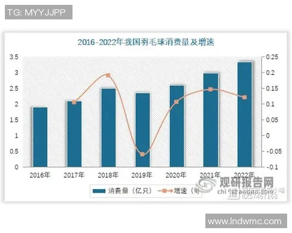 武汉羽毛球队节奏分析与发展策略探讨全面解读