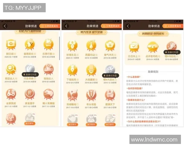 深入分析JDG战队的运营策略与成功经验分享 深入分析JDG战队的运营策略与成功经验分享